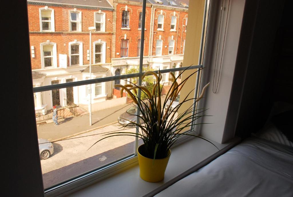 Botanic Rest Queens Quarter Белфаст Номер фото